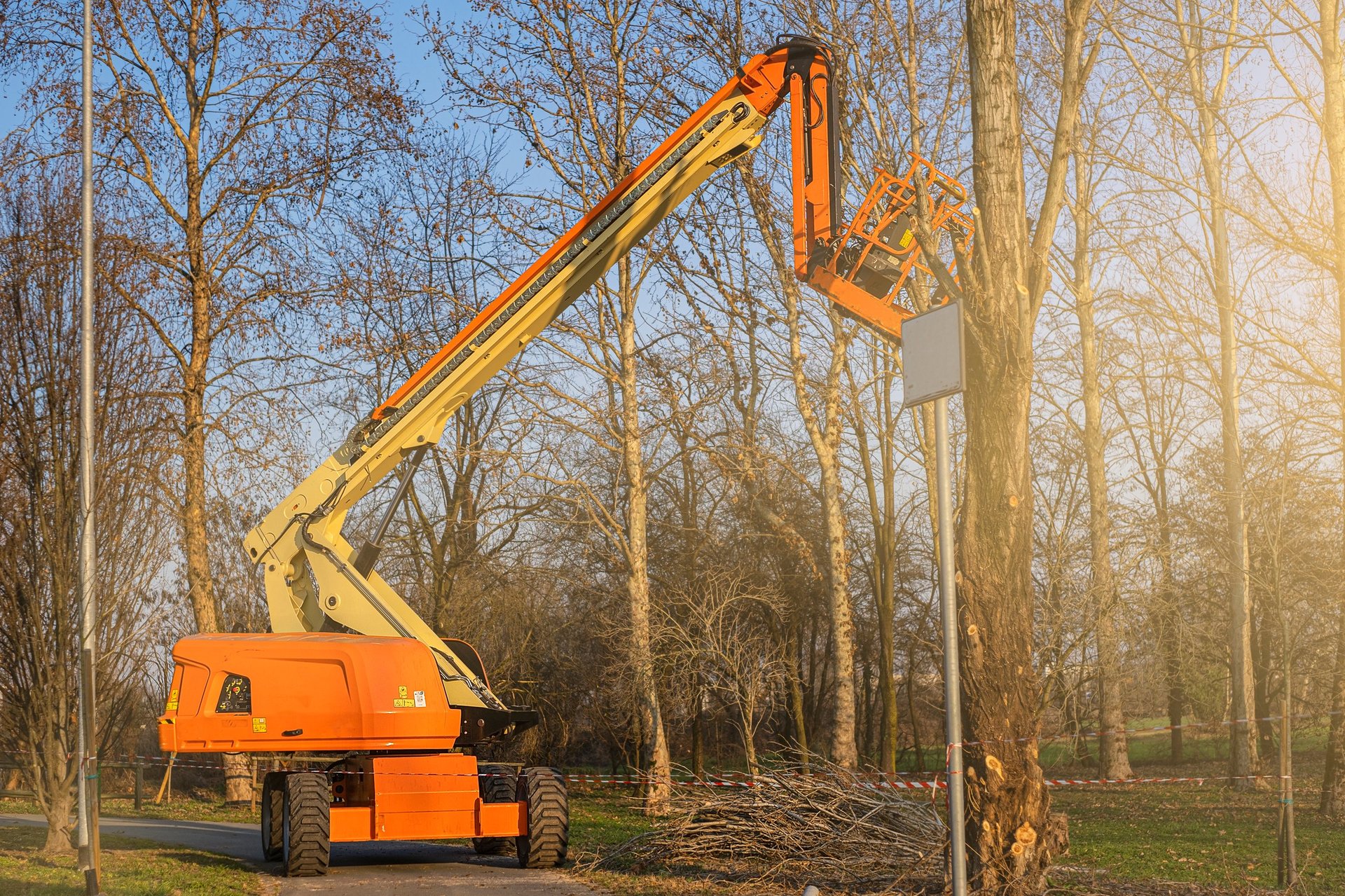 Professional tree removal with crane equipment