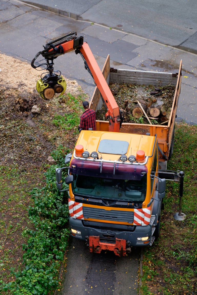 Specialized truck with hydraulic crane removing fallen tree debris
