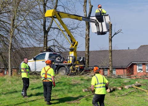 Crane removing fallen tree debris