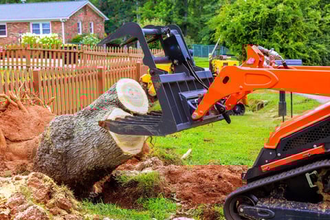 Professional stump removal equipment