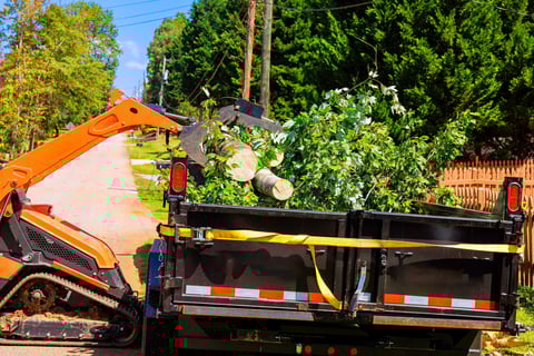 Storm cleanup debris removal